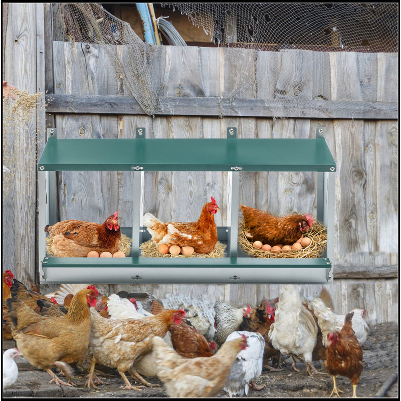 Boîtes de nidification en métal pour poulet, boîte de nidification à 3 compartiments, boîtes de nidification en acier galvanisé pour poules, facile à assembler
