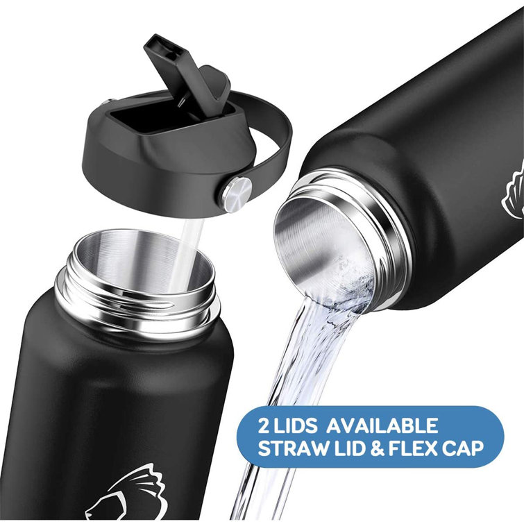 https://assets.wfcdn.com/im/89488670/resize-h755-w755%5Ecompr-r85/2117/211718412/Buzio+Insulated+Stainless+Steel+Water+Bottle.jpg