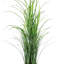 Grass in Bamboo Planter