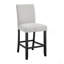 Transitional Fabric Upholstered Counter-Height Dining Chair 2Pc Set Black Grey