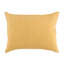 Danica Sham-1032069531-1032069530