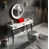 Blanc / Gris foncé brillant