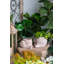 8.3X7X4.7" Decorative Sand And Cement Snail Planter With Textured Beige Finish