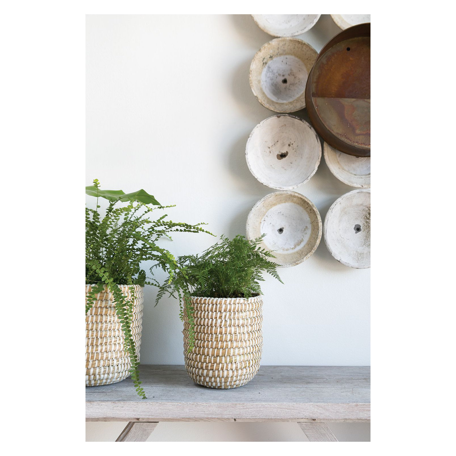 Abbs Pot Planter, 7.75" H x 7" W x 7" D