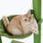 Coyst 37'' H Cat Tree