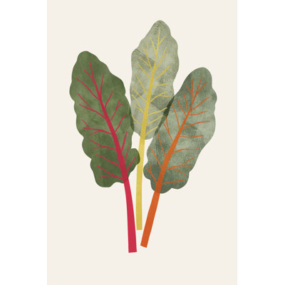 Légumes biologiques V