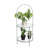 Muamir Glass Top End Table