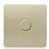 Champagne Gold is out of stock selected