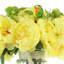 Peony Floral Arrangement-1197098105