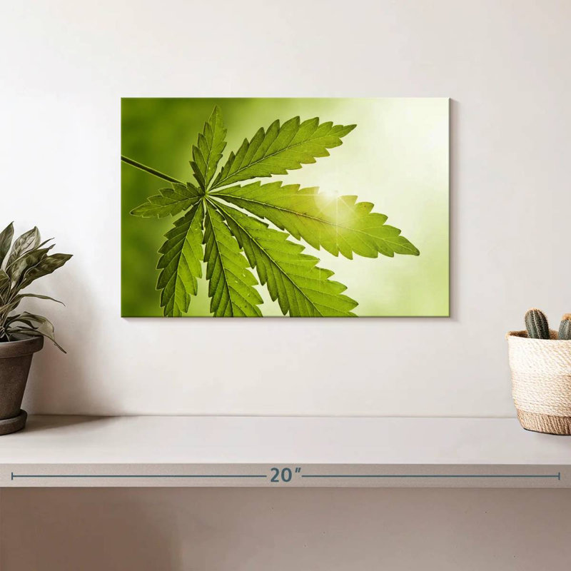 Lever de soleil de la marijuana, 8" H x 12" W