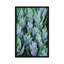 «False Hellebore with Frost, Gothic, Colorado», impression sur toile-30310343-72574138-72574139
