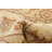 Bittle Wool Oriental Indoor Rug