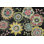 «Stay Happy Multi III» par Mary Urban, impression sur toile tendue