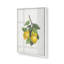 «Lemon Harvest II»-468199760-468199790