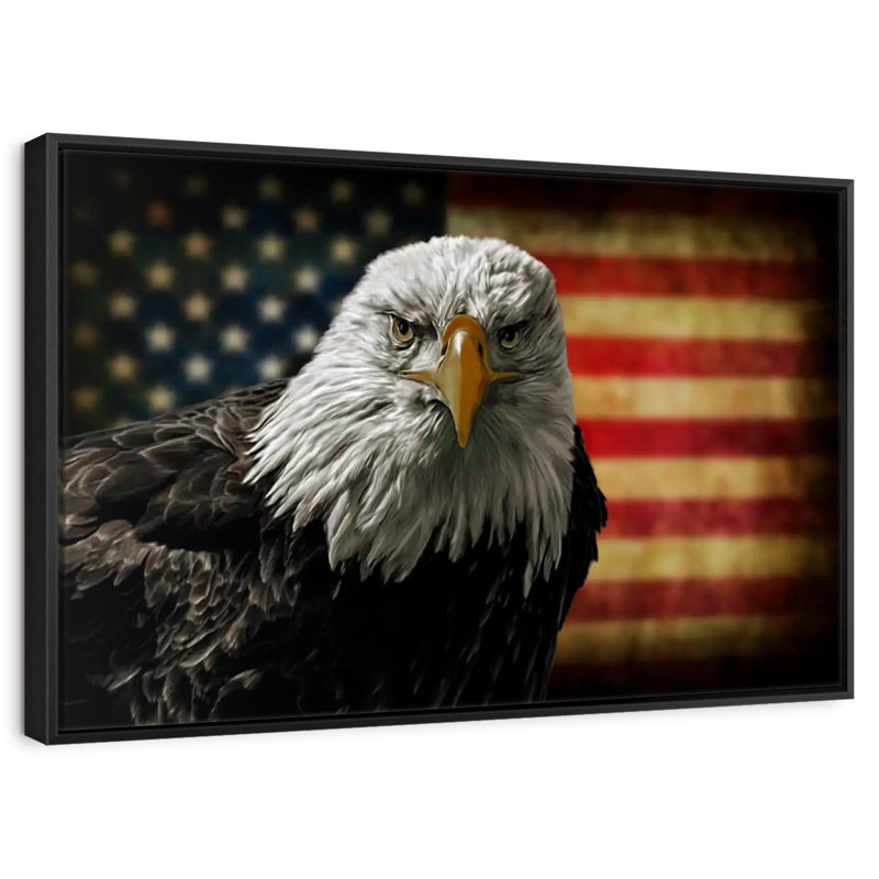 Aigle et drapeau de l'Amérique, Cadre flottant noir, 43 po x 29 po