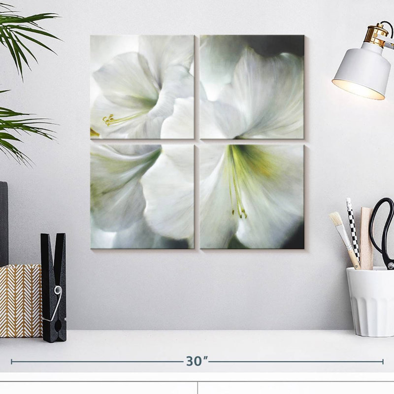 Amaryllis blanc Harnek II, H 18 po x l 18 po