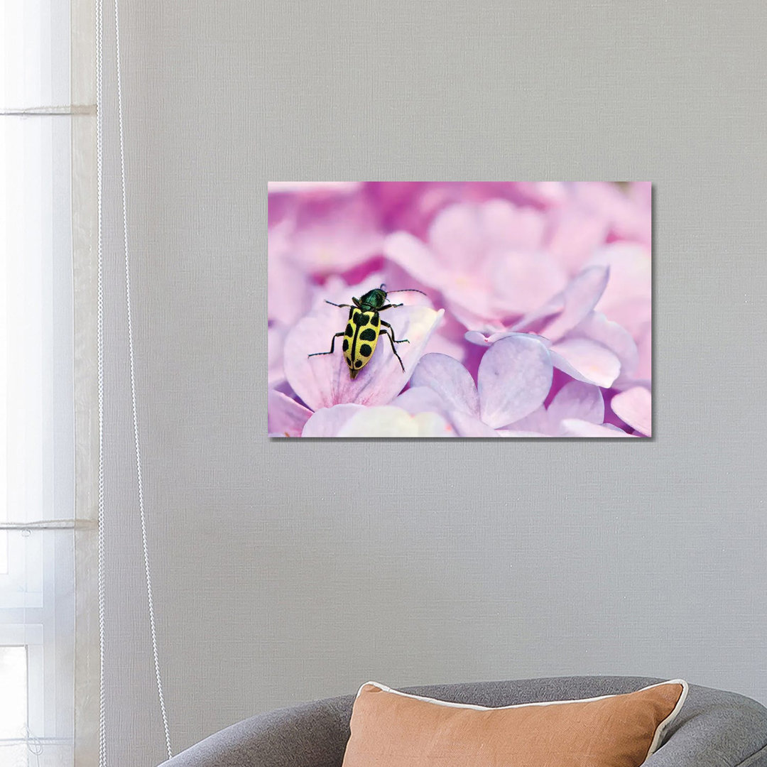Bug by Glauco Meneghelli - Wrapped Canvas Print