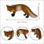 Figurine réaliste renard roux