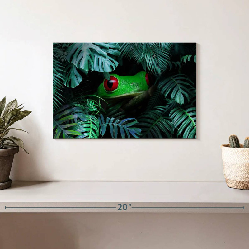 Rainette tropicale
