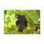 No Frame Print on Canvas-1381344524
