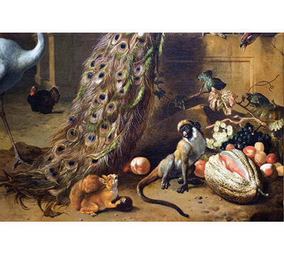 Singe et écureuil avec melon de peacock (détail)-impression d’art graphique