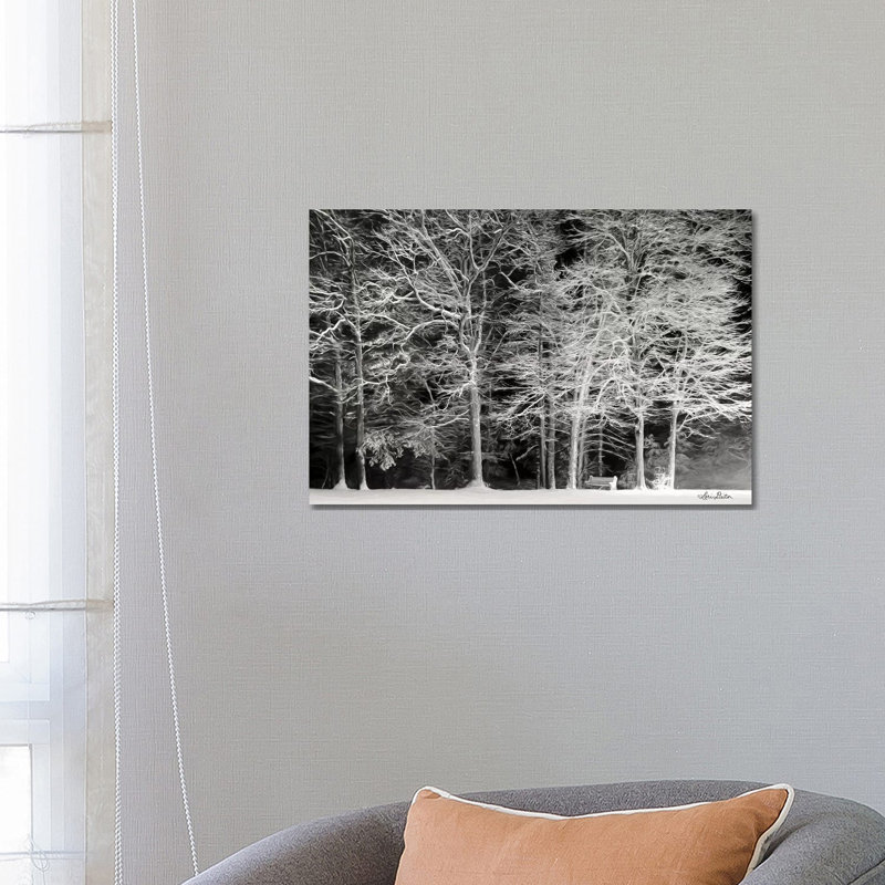Snowy Trees by Lori Deiter - Wrapped Canvas Print, 66.04 cm H x 45.72 cm W x 1.91 cm D