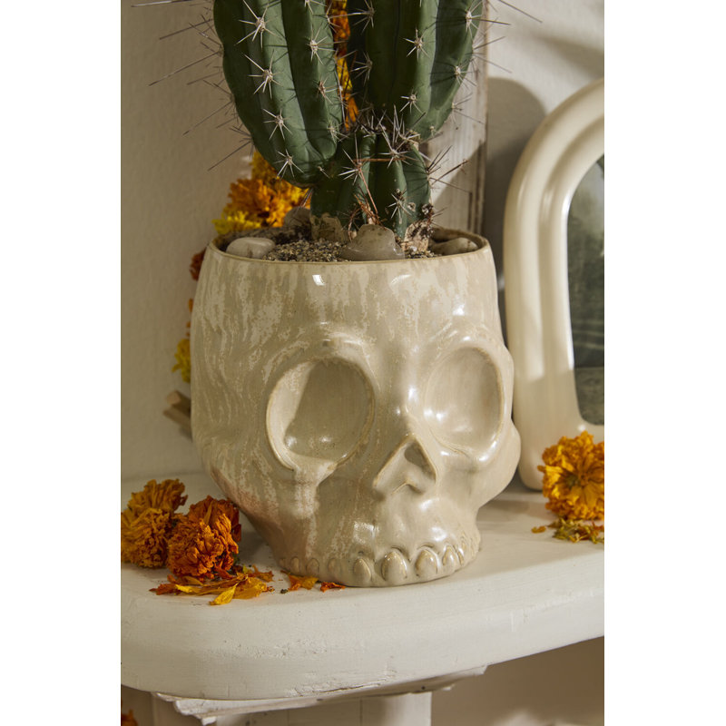 Haunting Skull Pot 6.5"x 7.5"x 6.25"