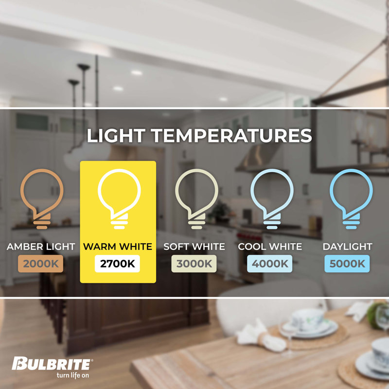 S14 Dimmable Medium Screw Base (E26) Light Bulb, 11 Watt Equivalent