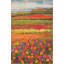 Tapis vert / rouge / jaune Glenarden-2077739681