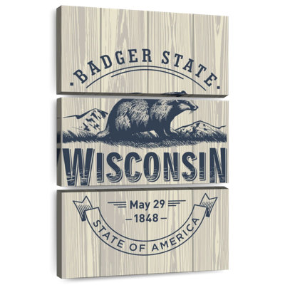 Badgers de Nicci Wisconsin