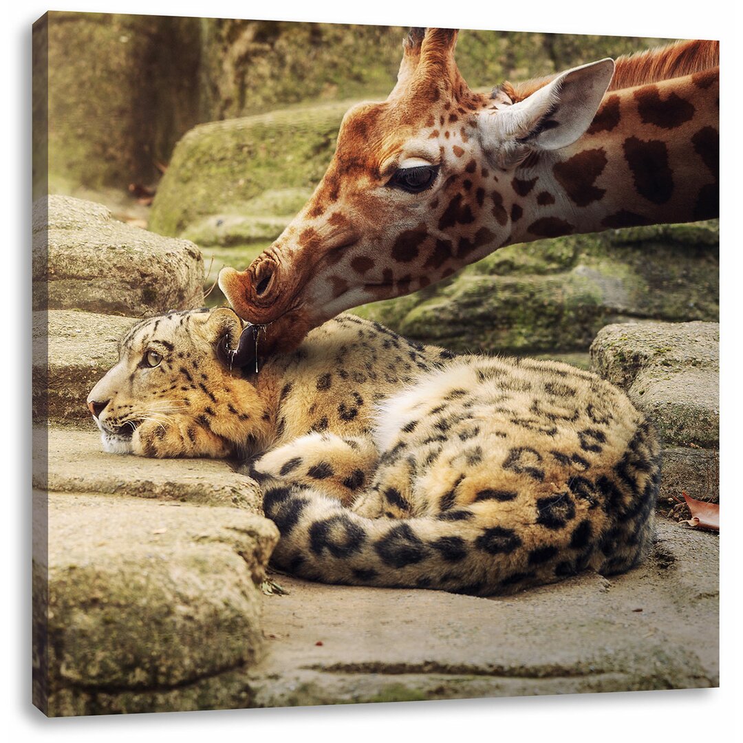 Leinwandbild Kuschelnder Leopard und Giraffe