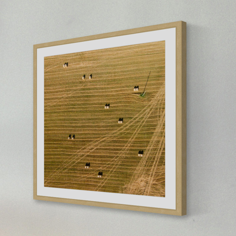 Single Picture Frame Print, 51 cm H x 51 cm W x 3.81 cm D