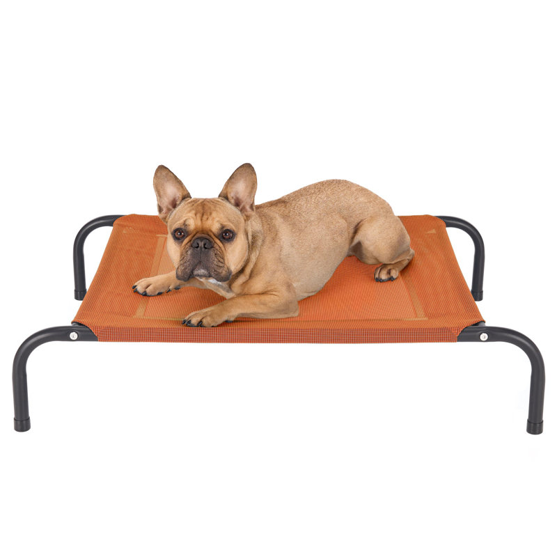 Elevated Cot Pet Bed, 8" H x 25.5" W x 36" D, Red