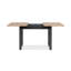Alduina Extendable Dining Table-230812693