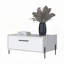 Table basse blanche avec porte rabattable-621782179