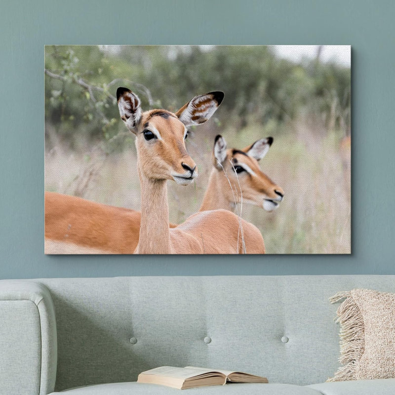 East African Somalian Gerenuk Antelope Duo sur toile, H 32 po x l 48 po x P 1,5 po, Toile tendue