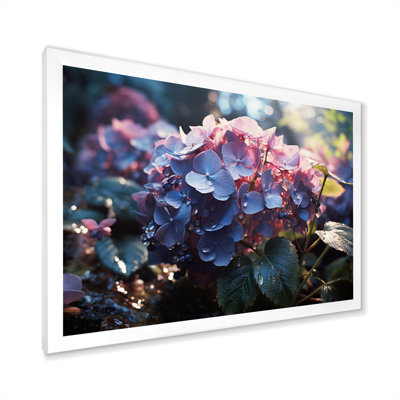 Champ d'hortensia mauve - imprimé