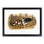 Black Rat by J.W. Audubon - Picture Frame Painting Print-55686598-55686601