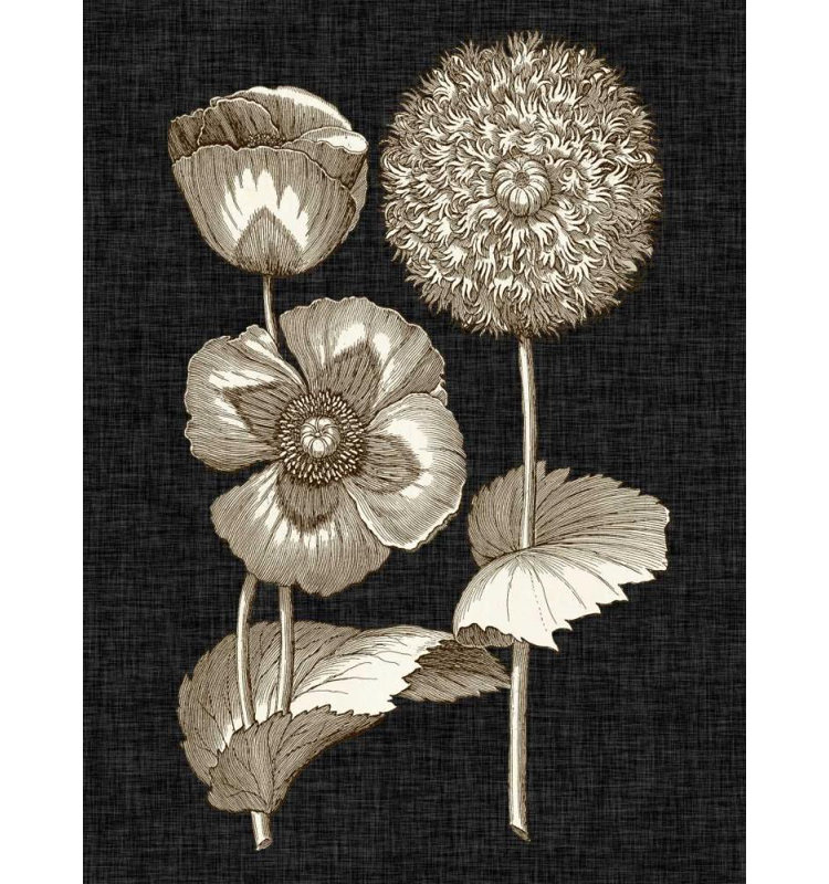 Art sur toile tendue Lark Manor ™ Vision Studio, titre: Dramatic Chintz III, H 24 po x l 19 po