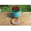 Heavy Duty Movable Plant Pot Caddy FSC 100% Acacia Wood Wheels Caddy - 30cm - Garden Plant
