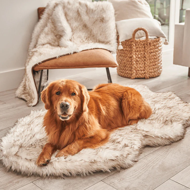 Small White Faux Fur Orthopedic Dog Bed with Memory Foam