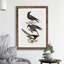 Raven, Crow & Magpie by J.E. De Kay - Framed Print-48194950-48194947