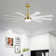 Babrak 65'' Ceiling Fan with LED Lights