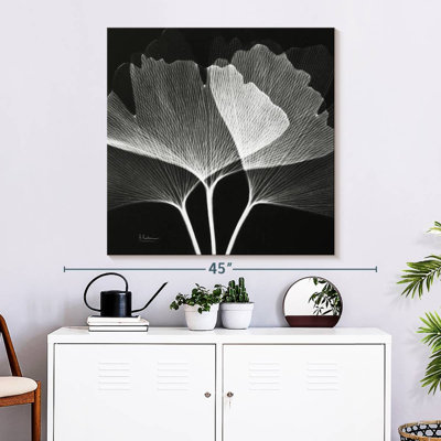 Harnek Ginkgo BW