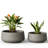 2-Piece Bowl Concrete Planter Set (13" /16"), Weather-Resistant for Patio & Garden Decor, Warm Gray-9782864-9782866-9782865