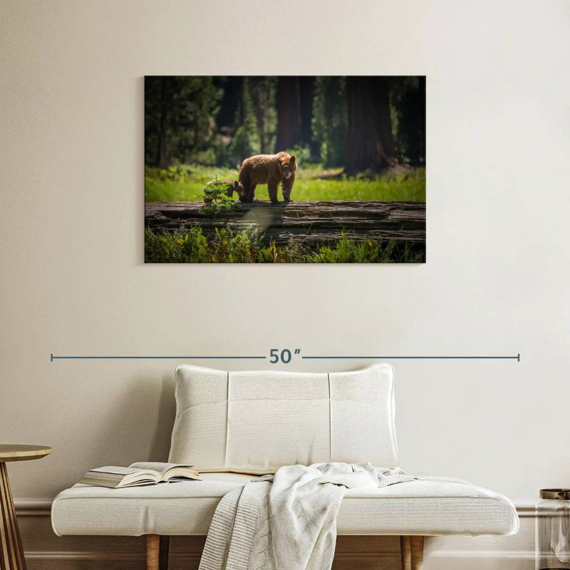 Crowle Sequoia Wild Bears, 24" H x 36" W