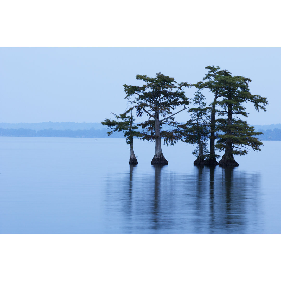 Reelfoot Lake mit Bäumen im Wasser