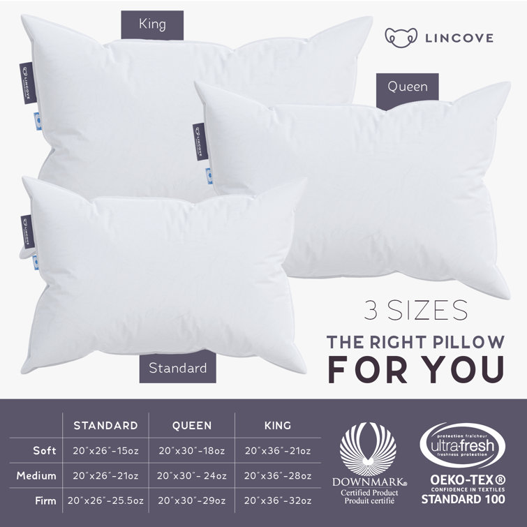 Throw Pillow Insert – Lincove