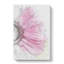 Beauty Of A Pink Gerbera Flower In Abstract - Wrapped Canvas-55312367