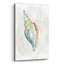 «Pastel Shell II» par Carol Robinson-1315524732